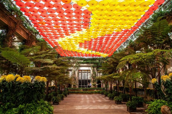 les plus beaux jardins botaniques à travers le monde
